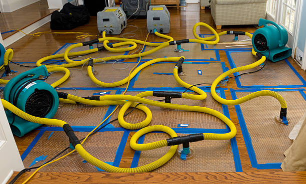 Professional Sewage Cleanup technician working in Monroeville, IN